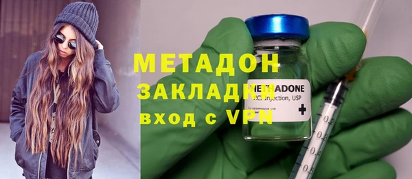 прущие грибы Заводоуковск