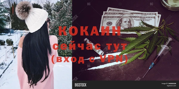 ПСИЛОЦИБИНОВЫЕ ГРИБЫ Заволжье